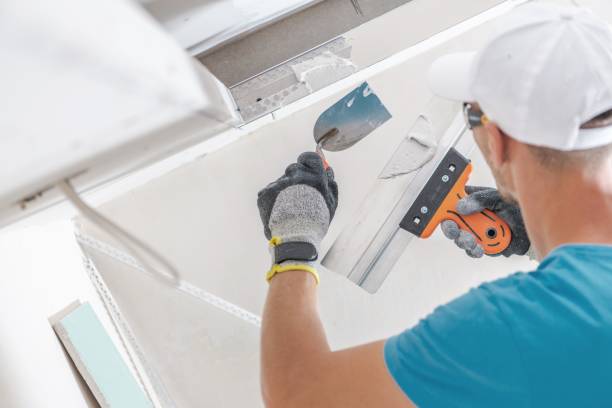 Best Water-Damaged Drywall Repair  in Steele, MO